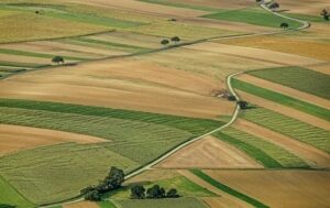 Новини Києва - СБУ викрила 176 росіян, які володіли землею під Києвом