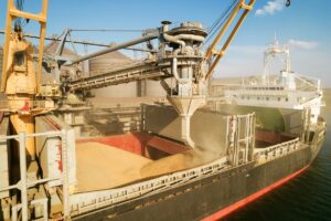 Новини бізнесу - Україна скоротила експорт агропродукції на понад 23% - УКАБ