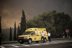 Новини України - Україна запропонувала Ізраїлю допомогу у боротьбі з лісовими пожежами