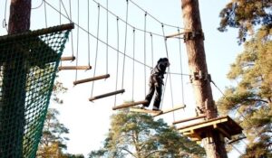 Новини Києва - В Києві підліток упав з канатної дороги