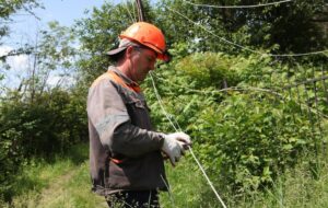 Новини України - В Україні знизилось енергоспоживання наприкінці червня