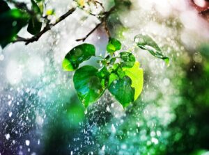 Новини України - В Україні чергуватимуть грози зі спекою до +37°