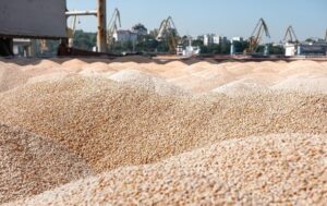 Новини бізнесу - Україна продала мільйон тонн пшениці нового врожаю