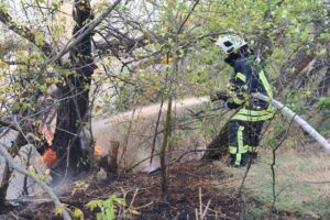 Новини України - Рятувальники другу добу гасять пожежу на Хортиці