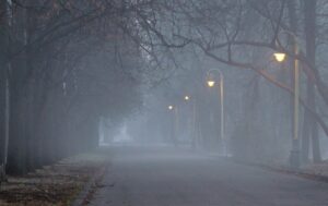 Новини України - Дощі та туман: якою буде погода найближчими днями