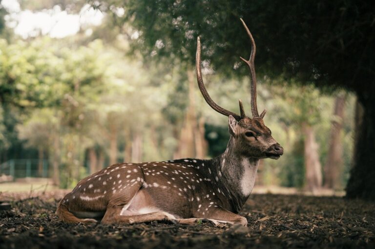 Новини культури - Гороскоп для всіх знаків зодіаку на 28 жовтня 2025 року