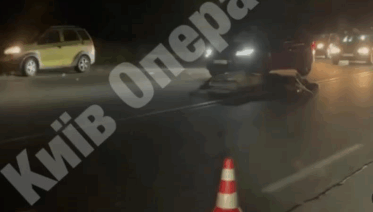 Новини Києва - Під Києвом авто збило лося