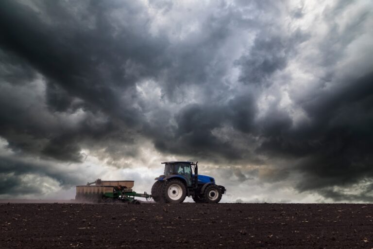 Новини бізнесу - Українські аграрії засіяли 74% озимих культур