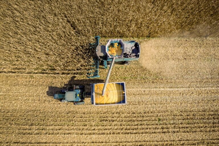 Новини бізнесу - В Україні обмолочено 73% зернових площ