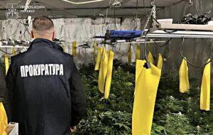Новини України - Вирощування коноплі у підвалі будинку: викрито групу наркоділків