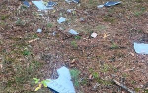 Новини України - У лісі на Чернігівщині здетонував дрон, поранені двоє підлітків