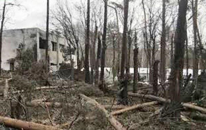 Новини України - В Україні подали перший позов проти росіян за екологічні збитки