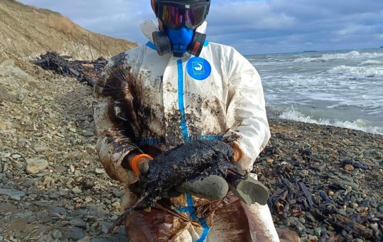 Новини України - Величезні мазутні плями зафіксували в Керченській протоці - соцмережі