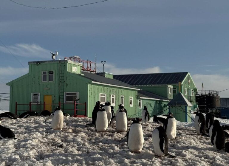 Новини світу - Метеорологи на Вернадському зафіксували кліматичну аномалію